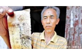 催收报告提交频率：优化策略与行业实践