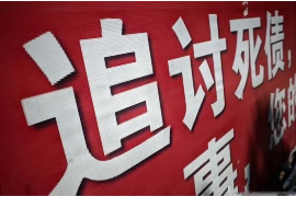 杜尔伯特清数公司怎么收费：全面解析收费模式及优势