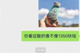 职业讨债群体现状概述