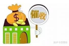 支付宝催收电话028：揭秘催收流程及应对策略