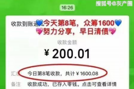 阳山追债公司哪里找？揭秘高效追偿服务