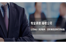 信阳网贷催收公司：揭秘网贷逾期催收的现状与应对策略