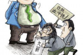谢家集要钱公司哪里找？专业机构为您提供全方位解决方案