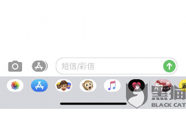 催收让去法院调解：合理解决债务纠纷的新途径